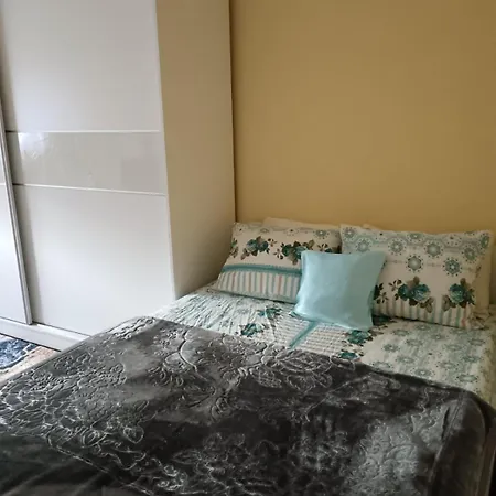 Apartment Stari Grad Dorcol Belgrade